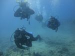 Hawaii Scuba divng 54