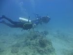 Hawaii Scuba divng 56