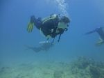 Hawaii Scuba divng 56