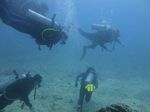 Hawaii Scuba divng 58