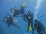 Hawaii Scuba divng 60