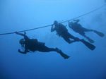 Hawaii Scuba divng 06