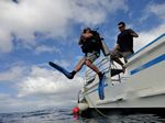 Hawaii Scuba divng 10