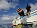 Hawaii Scuba divng 11