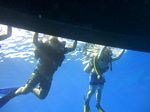 Hawaii Scuba divng 12