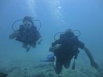 Hawaii Scuba divng 16