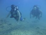 Hawaii Scuba divng 17