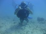 Hawaii Scuba divng 18