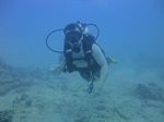 Hawaii Scuba divng 19