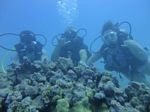 Hawaii Scuba divng 22