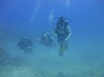 Hawaii Scuba divng 27