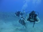 Hawaii Scuba divng 28