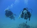 Hawaii Scuba divng 29