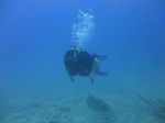 Hawaii Scuba divng 30