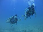 Hawaii Scuba divng 31