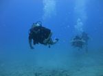 Hawaii Scuba divng 34