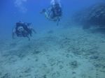 Hawaii Scuba divng 35