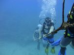 Hawaii Scuba divng 40