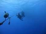 Hawaii Scuba divng 43