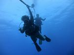 Hawaii Scuba divng 44