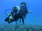 Hawaii Scuba divng 48