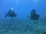 Hawaii Scuba divng 49