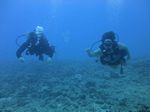 Hawaii Scuba divng 49