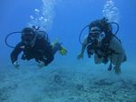 Hawaii Scuba divng 51