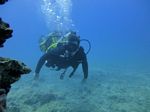 Hawaii Scuba divng 54