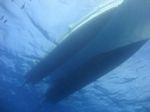Hawaii Scuba divng 05