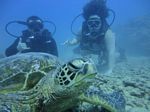 Hawaii Scuba divng 60