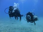 Hawaii Scuba divng 66