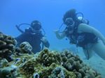 Hawaii Scuba divng 67