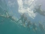 Oahu Scuba 20