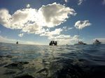 Oahu Scuba 04