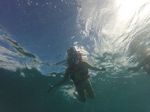 Oahu Scuba 77