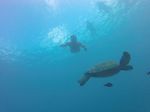 Oahu Scuba 94