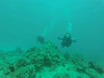 Hawaii Scuba divng 10