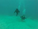 Hawaii Scuba divng 11