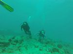 Hawaii Scuba divng 14