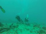 Hawaii Scuba divng 15