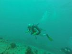 Hawaii Scuba divng 16