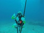 Hawaii Scuba divng 21