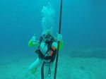 Hawaii Scuba divng 22