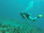 Hawaii Scuba divng 26