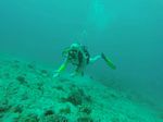 Hawaii Scuba divng 35