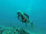 Hawaii Scuba divng 36