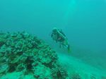 Hawaii Scuba divng 37