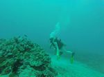 Hawaii Scuba divng 38