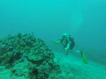 Hawaii Scuba divng 39